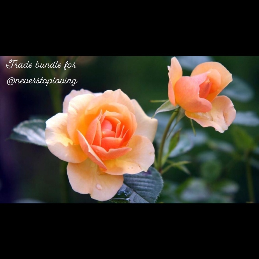 Trade bundle for @neverstoploving